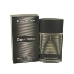 Zegna Intenso By Ermenegildo Zegna For Men