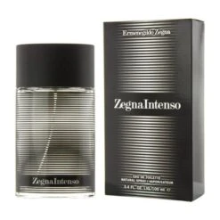 Intenso By Ermenegildo Zegna For Men